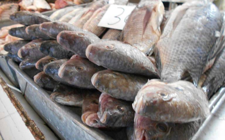 Revisan pescados y mariscos - El Sol de Zamora | Noticias Locales,  Policiacas, sobre México, Michoacán y el Mundo